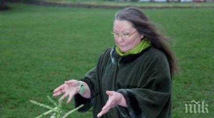 британската гадателка джемина идва нова икономическа криза