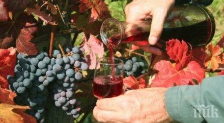 харчим млн трифон зарезан свети валентин