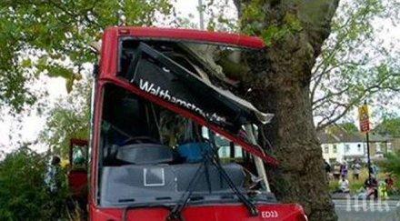 последните минути автобус градския транспорт заби дърво