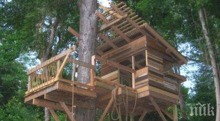 нова мода къщички превземат дърветата пловдив снимка