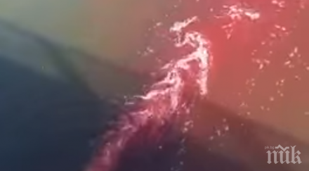 шок кървава вода стича водното огледало кърджали