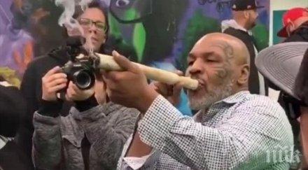 майк тайсън пафка комин фестивал марихуаната