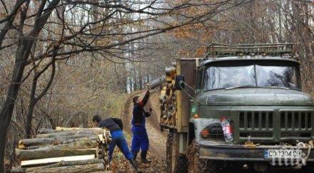 бракониер зил драсна ченгетата падна яма