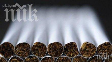 криминалисти иззеха 600 къса нелегални цигари