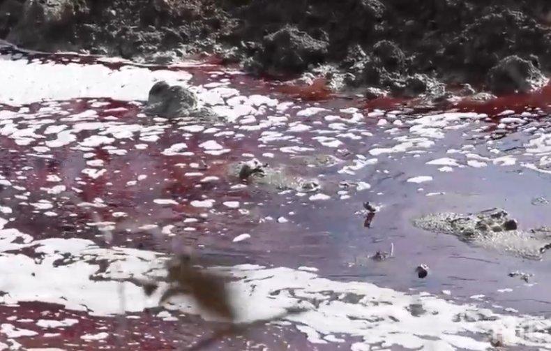 Кървава река потече във Водното огледало в Кърджали (СНИМКИ)