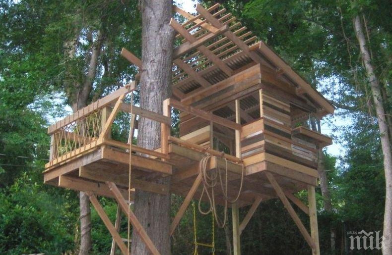 Нова мода: Къщички „превземат” дърветата в Пловдив (СНИМКА)