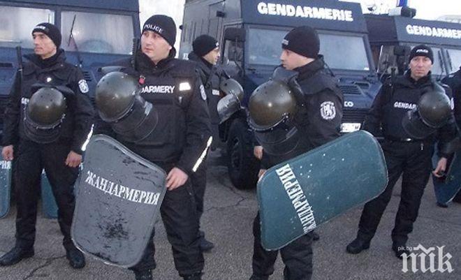 Успокоиха Войводиново, жандармерия респектира циганите 