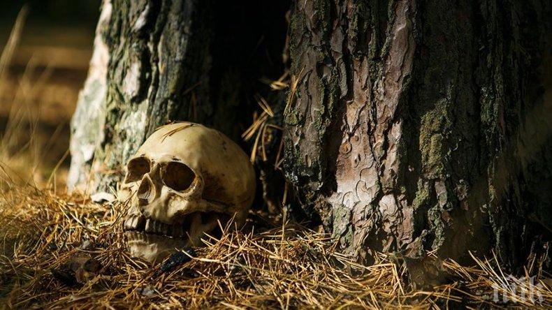 Зловеща находка в гора край Приморско: Ловци откриха човешки череп – убийство или смърт на бежанец?