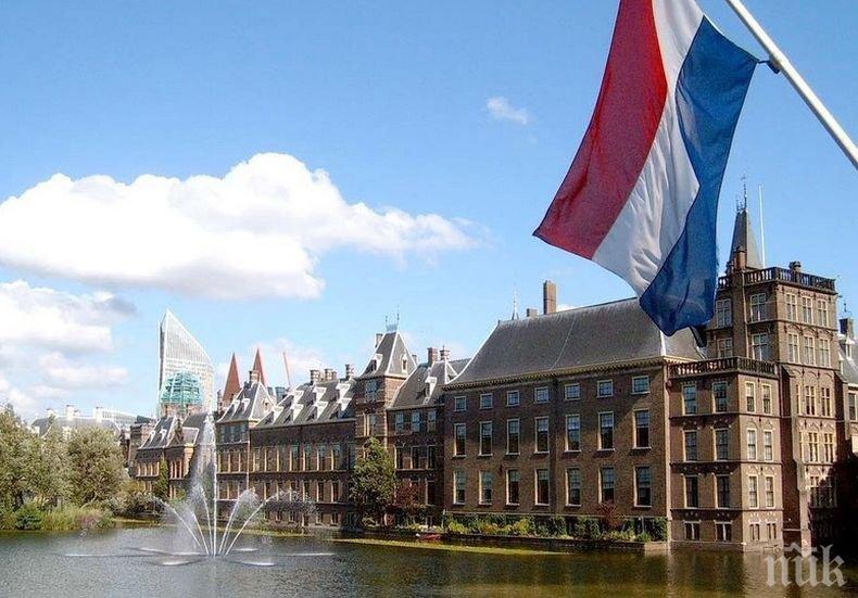 Холандия готова да приеме базирани във Великобритания компании