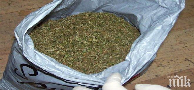 Разследват надзирател, шофирал дрогиран