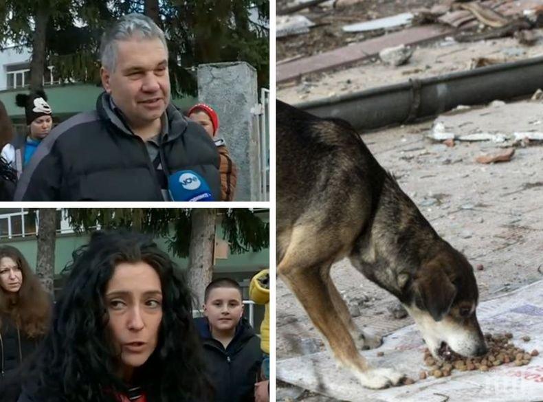 Опасно: Отровиха 11 кучета в района на детска градина в кюстендилско село