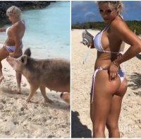 БЕЗ МАЙТАП: Свиня ухапа по дупето известна фитнес моделка (ВИДЕО)