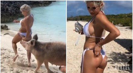 без майтап свиня ухапа дупето известна фитнес моделка видео