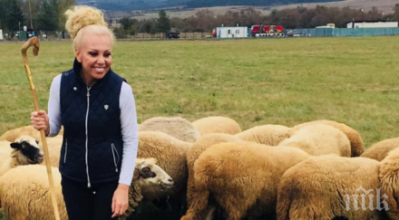 шаш ексцентричната чалгарка луна изкара стадо пасе овце