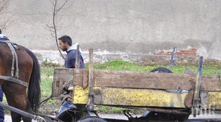 каруцар издъхна улицата търсейки храна деца