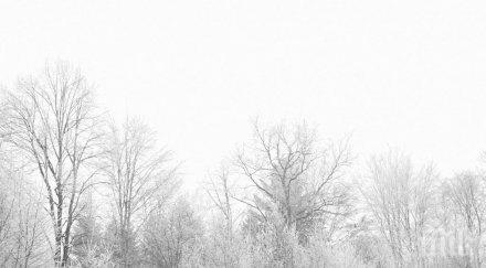 рекордни снеговалежи москва натрупа 000 чистят пътищата