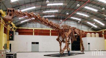 скелет титанозавър откриха танзания