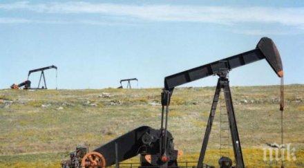 еврото пада петролът поскъпва