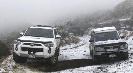 необичаен студ връхлетя хавай видео