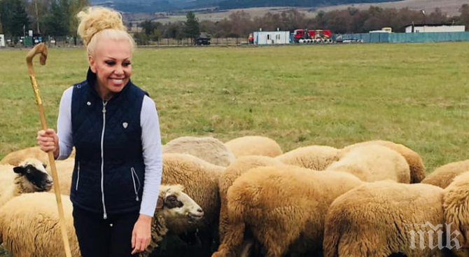 ШАШ: Ексцентричната чалгарка Луна изкара стадо, пасе овце