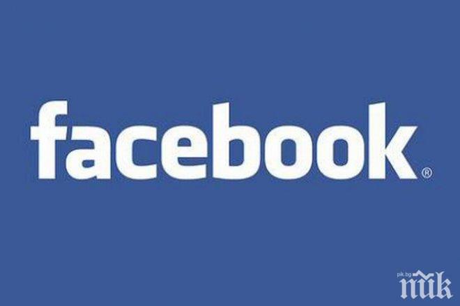 Фейсбук трие профили преди изборите в Молдова