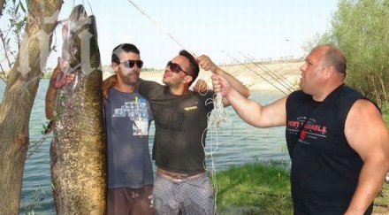 уловиха сом дълъг близо черногорово