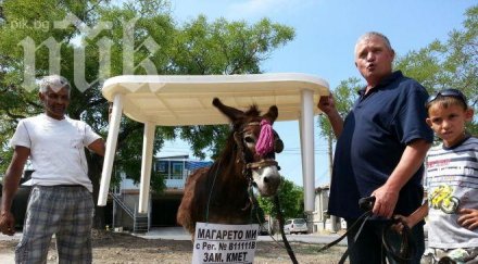 магаре кандидатира кметските избори варна