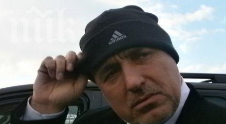 борисов радан кънев сме единни популизма левите