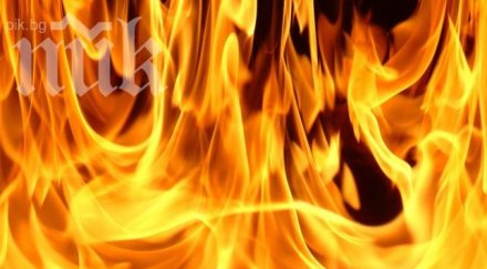 мълнии изпепелиха три ниви пловдив