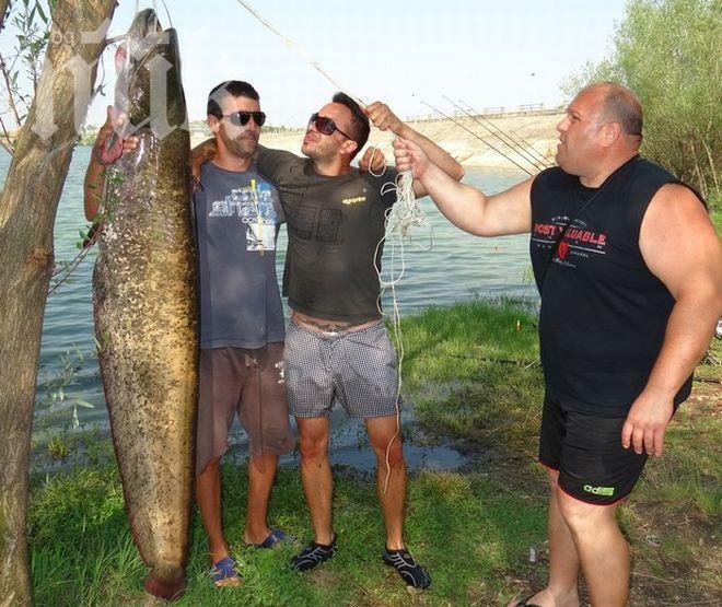 Уловиха 40 кг сом, дълъг близо 2 м на яз. Черногорово