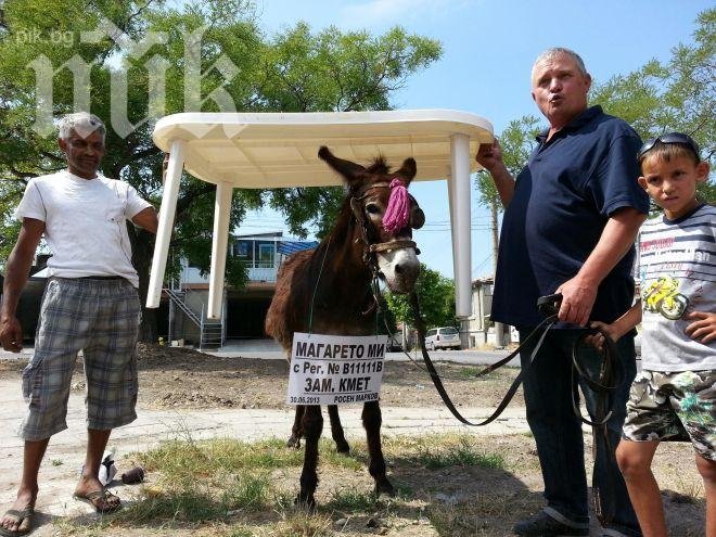 Магаре се кандидатира на кметските избори във Варна