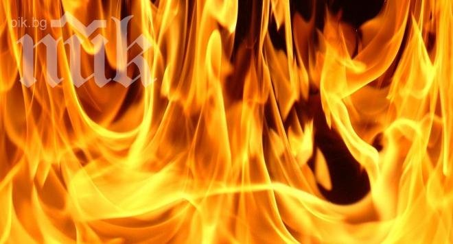 Мълнии изпепелиха три ниви край Пловдив