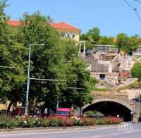 Стотици рози красят Пловдив в очакване на пролетта