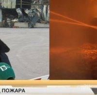 Войводиново пред екокатастрофа: 1000 тона месо започват да гният