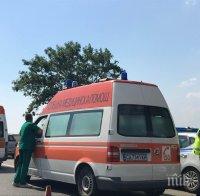 ТИР отнесе автомобил на Е-79 между Мездра и Ботевград, трафикът е затруднен (СНИМКА)