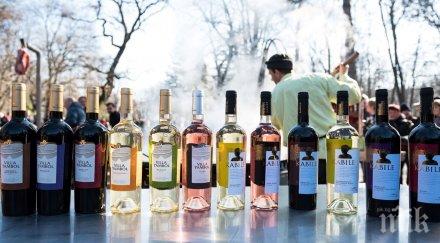 вила ямбол вдигна големия празник виното южна българия снимки