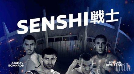 първата рода професионална бойна гала вечер кикбокс senshi изправя ринга едни добрите бойци балканите