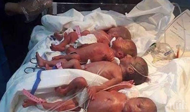 Иракчанка роди седем близначета
