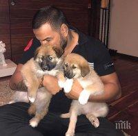 ЕТАЖНА СОБСТВЕНОСТ: Съседи скочиха на Азис - чалга звездата шокира цял квартал с новата си мания