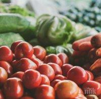 И ТОВА СЕ СЛУЧВА: Зарзаватчийка надви НАП в съда