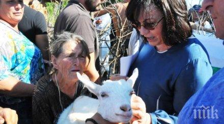 пик корнелия нинова яхна метлата тръгна буни кметове работно време удари камък