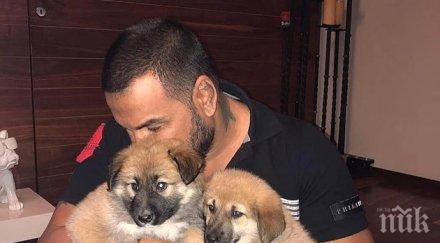 етажна собственост съседи скочиха азис чалга звездата шокира цял квартал новата мания