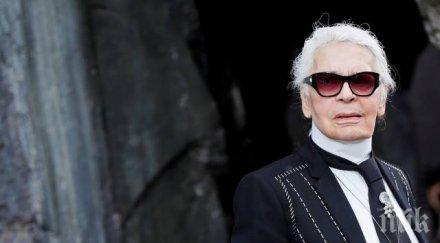 кремираха карл лагерферд изпрати принцеса