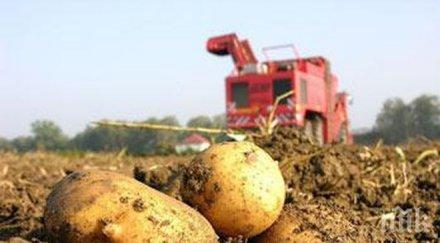 отпускат млн лева борба вредителите картофите