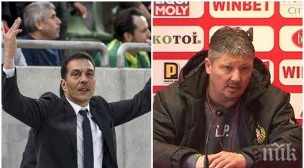 зелен шамар любо пенев