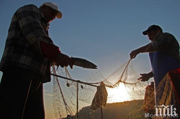 Бракониерски мрежи с риба иззеха на язовир Ястребино