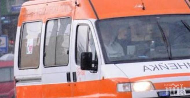 Набиха служител на Държавното горско стопанство