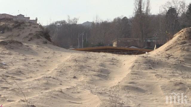 ЕКСПЕРТИЗА: Дюната на къмпинг „Смокиня” е безвъзвратно унищожена