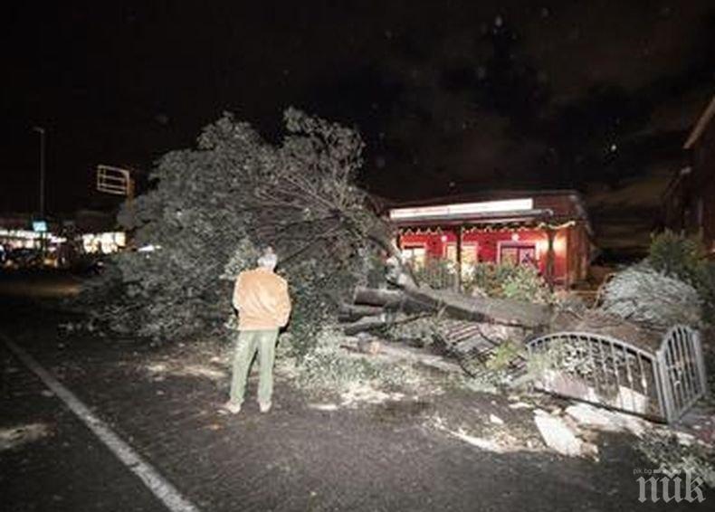 Ветрове удариха Централна Италия, най-малко четирима са загинали