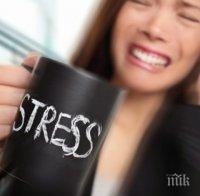Хората, подложени на стрес, имат по-слаба имунна система